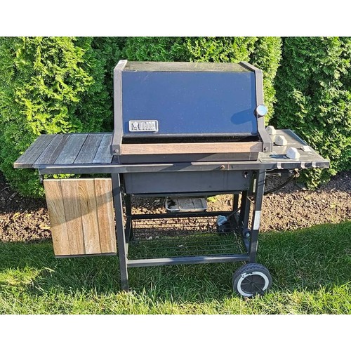 Weber genesis silver - silver, black